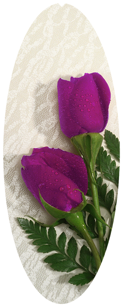 DNSA18-053 2 Roses Orchid